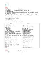 giao an lop ghep 1+2 tuan 33