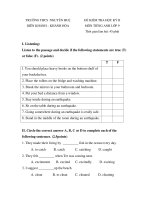 Đề thi HKII Tiếng anh 9 - 5