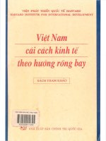 Việt Nam cải cách kinh tế theo hướng rồng bay - Sách tham khảo