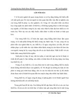 tiểu luận LÝ THUYẾT VỀ ĐIỆN TIM