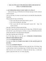 BÁO cáo TỔNG QUAN TÌNH HÌNH HOẠT ĐỘNG  KINH DOANH của CÔNG TY  INTERLINK đà NẴNG