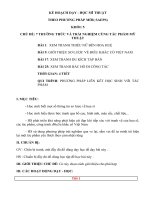 kế hoạch dạy học mĩ thuật theo phương pháp mới (SAEPS) chủ đề thường thức và trải nghiẹm cùng tác phẩm mỹ