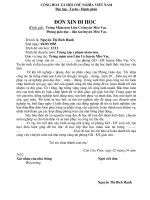ĐƠN XIN ĐI HỌC ĐH