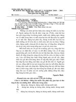 De KT giua ky 2 mon TV lop 4 NH 10 - 11 co dap an