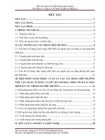 báo cáo giám sát chất lượng môi trường chủ đầu tư công ty CP dịch vụ đầu tư đăng cơ