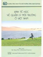 Kinh tế học về quản lý môi trường ở Việt Nam
