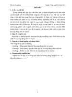 Nghiên cứu lập quy trình kiểm tra sửa chữa ồn,rung động trên xe toyota