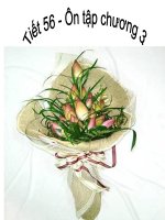 tiết 56 - ôn tập chương 3 - hinh học