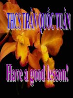 Giáo án bồi dưỡng thao giảng, kiểm tra HĐSP tiếng anh lớp 6 Unit 2 At school (5)