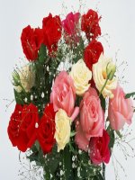 Bài 18 GDCD 7 Bộ máy nhà nước cấp cơ sở (Xã, Phường, Thị trấn)