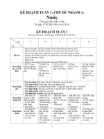 kế hoạch tuần giảng dạy lớp mẫu giáo