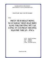 Phân tích hoạt động xuất khẩu nhân hạt điều sang thị trường Mỹ tại công ty cổ phần thương mại Phú Nhuận - PNCo