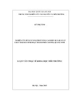 luận văn nghiên cứu đề xuất giải pháp nâng cao hiệu quả quản lý chất thải rắn sinh hoạt thành phố cẩm phả, tỉnh quảng ninh