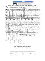 THÀNH PHẦN  VÁ HOẠT TÍNH ISOFLAVONE TRONG ĐẬU NÀNH