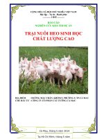 báo cáo nghiên cứu khả thi dự án trại nuôi heo sinh học chất lượng cao