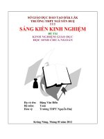 sáng kiến kinh nghiệm giáo dục học sinh chưa ngoan trườnG thpt nguyễn huệ tỉnh đắc lắc