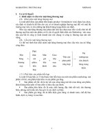 Phân tích  phối thức mặt hàng thương mại hỗn hợp của một mặt hàng thương mại