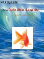 Tiet 33. Van ban. Ong lao danh ca va con ca vang