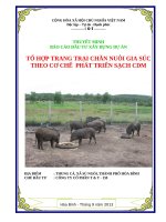 báo cáo đầu tư xây dựng dự án tổ hợp trang trại chăn nuôi gia súc theo cơ chế phát triển sạch CDM