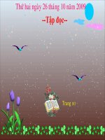 TD: ONG TRANG THA DIEU