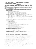 ĐỀ THI MÔN TIẾNG VIỆT-TOÁN GKII LỚP4-2011 MỚI