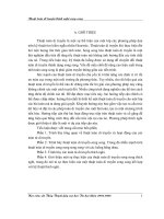 Tiểu luận Thuật toán di truyền thích nghi song song