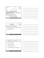 mô hình cung cầu ngoại tế và cơ chế xác định tỷ giá