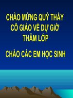 Tiết 17 Mối quan hệ giữa các chât vô cơ