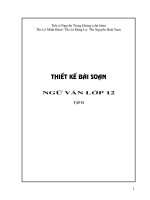 Thiết kế bài giảng văn 12 tập 2