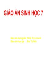 bai 49 da dang cua lop thu (tiep theo) bo doi - bo ca voi