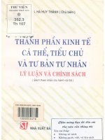 Thành phần kinh tế cá thể, tiểu chủ và tư bản tư nhân - Lý luận và chính sách