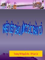 Giao an Dia ly lop 4