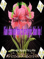 Mở rộng vốn từ Truyền thống-T26