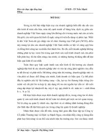 Tổ chức bộ máy kế toán và hệ thống kế toán tại Công ty Cổ phần Thương mại và Dịch vụ Mạnh Ngọc