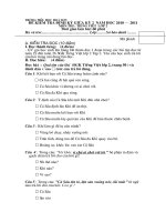 De KT mon TV lop 2 giua ky 2 NH 10 -11 co dap an