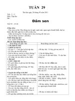 GIÁO ÁN TUẦN 29 LỚP 1