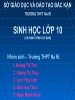 Bai 29 Cấu trúc các loai virut. Vi rut gây bệnh