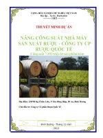 thuyết minh dự án nâng công suất nhà máy sản xuất rượu công ty cp rượu quốc tế công suất 7 392 triệu lít tren năm