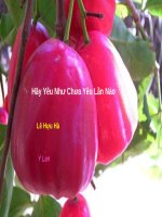 Hãy yêu như chưa yêu lần nào