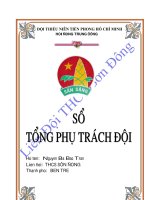 Sổ TPT Đội