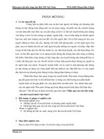 BÁO CÁO HIỆU QUẢ CHI TIÊU CÔNG CHO ĐÀI TRUYỀN HÌNH VIỆT NAM