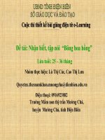 slide mầm non -bông hoa hồng