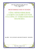 thuyết minh dự án đầu tưu xây dựng công trình ferocrom các bon cao 25 000 taán năm của công ty tnhh ferocrom thanh hóa