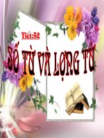 huygia v6 số từ và lượng từ