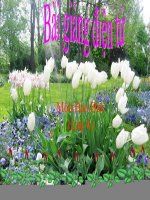 TICH CUC THAM GIA CAC HOAT DONG NHAN DAO