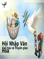 hỘI NHẬP VĂN HÓA