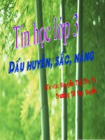 dấu huyền, sắc, nặng