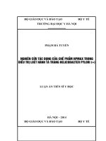 Nghiên cứu tác dụng của chế phẩm HPmax trong điều trị loét hành tá tràng Helicobacter pylori