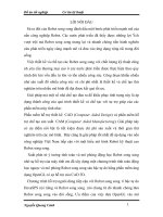 đồ án kỹ thuật cơ khí Chương trình tính toán động học ngược và mô phỏng Robot song song sáu bậc tự do bằng phần mềm ứng dụng OpenGL có sự hỗ trợ của CAD 3D.