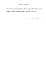 luận văn quy trình kiểm toán bán hàng thu tiền trong kiểm toán báo cáo tài chính của kiểm toán nội bộ tại công ty cp đầu tưu robot